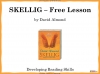 Skellig Free Resource Teaching Resources (slide 1/13)